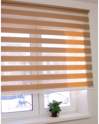 Зебра Стандарт-foto8